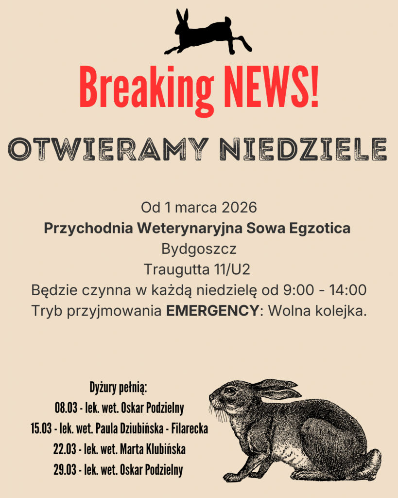 Breaking NEWS!